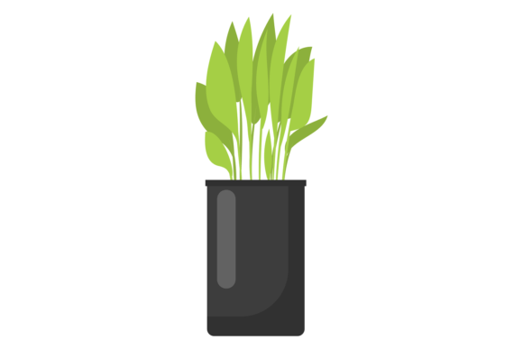 The Essential Guide to Green Plants in Pots: Your Toolkit for Indoor Floral Decora